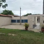 Sonho Dos Golfinhos